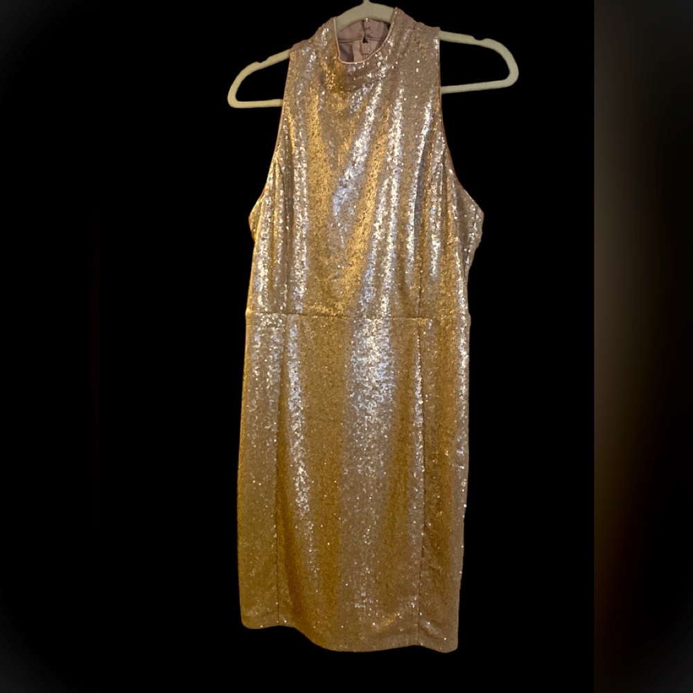 SEQUIN DRESS- NWOT